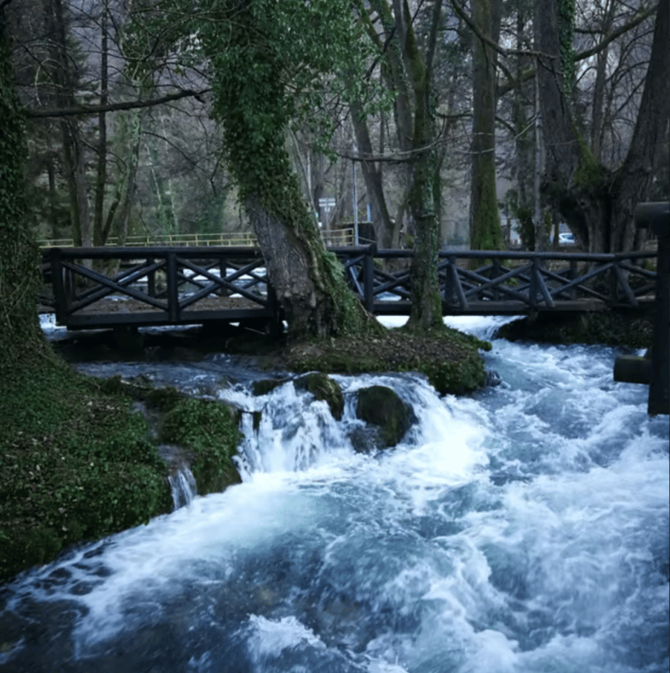 From Belgrade: Tara NP & Drina river & House on the Drina | ®ExcursionMania - Image 2
