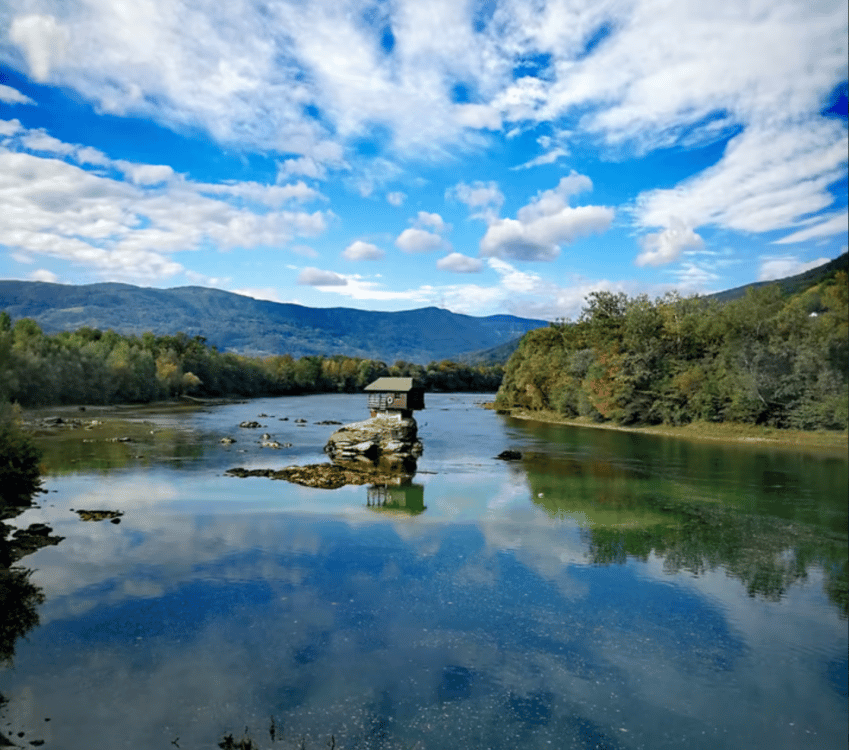 From Belgrade: Tara NP & Drina river & House on the Drina | ®ExcursionMania - Image 9