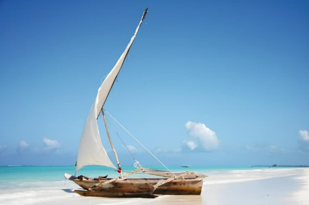 Jozani Forest, Blue Lagoon, Starfish, The Rock, Paje Beach | ®ExcursionMania - Image 8