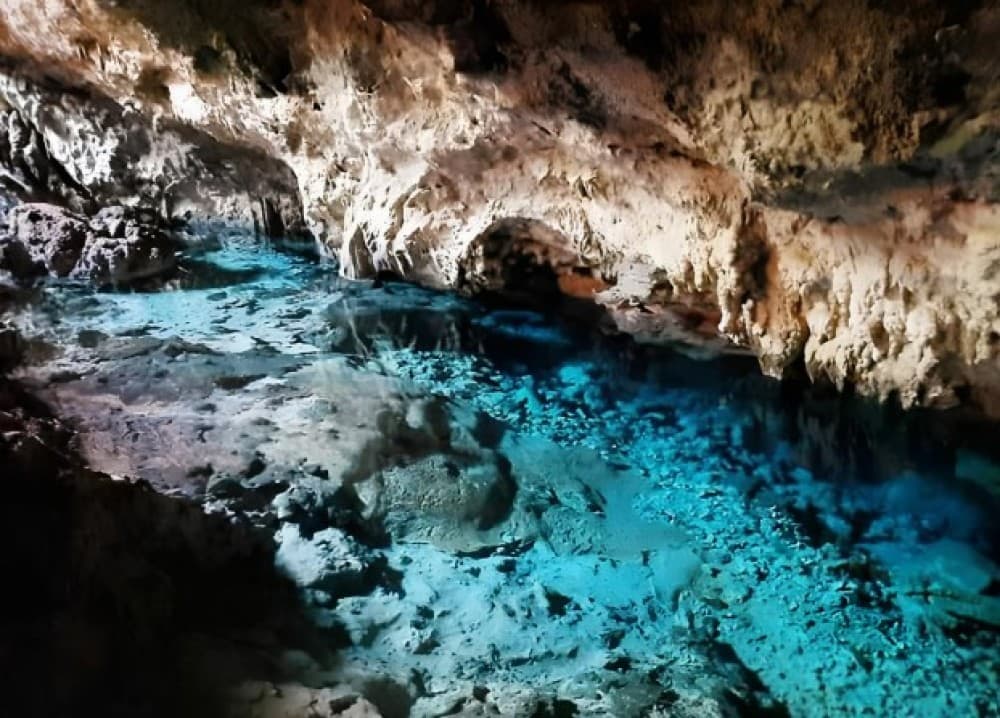 Jozani Forest, Blue Lagoon, Starfish, The Rock, Paje Beach | ®ExcursionMania - Image 11