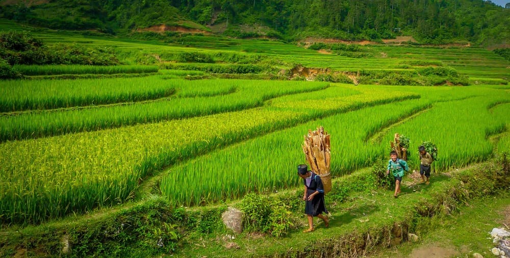 2-Day 2-Night Sapa Tour by Overnight Train 1 way from Ha Noi | ®ExcursionMania - Image 1