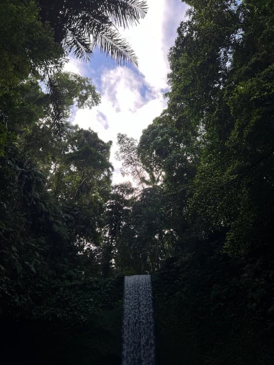 Best of Ubud Waterfalls, Tegalalang Rice Terrace and Swing Tour | ®ExcursionMania - Image 2
