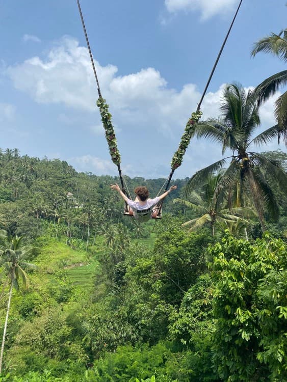 Best of Ubud Waterfalls, Tegalalang Rice Terrace and Swing Tour | ®ExcursionMania - Image 4