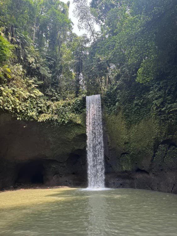 Best of Ubud Waterfalls, Tegalalang Rice Terrace and Swing Tour | ®ExcursionMania - Image 5