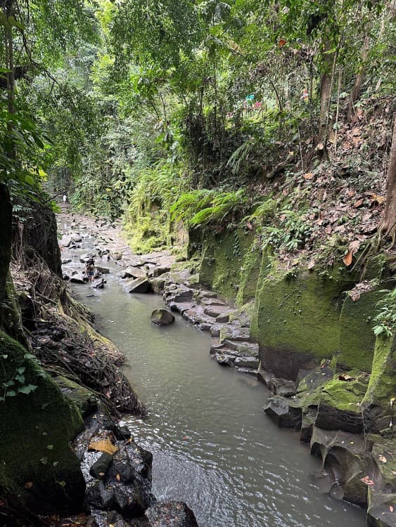 Best of Ubud Waterfalls, Tegalalang Rice Terrace and Swing Tour | ®ExcursionMania - Image 7