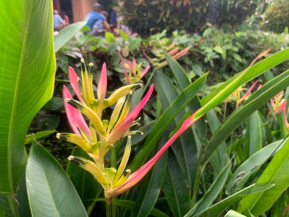 Best of Ubud Waterfalls, Tegalalang Rice Terrace and Swing Tour | ®ExcursionMania - Image 11