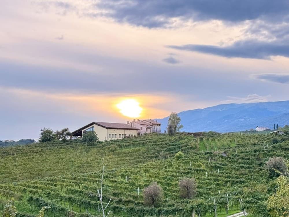 From Venice: Treviso, Prosecco, and Wine Tasting Tour | ®ExcursionMania - Image 6