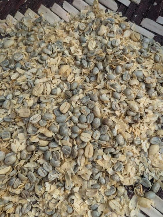 Arusha: Coffee Tour with Tasting and Farm Visit | ®ExcursionMania - Image 2