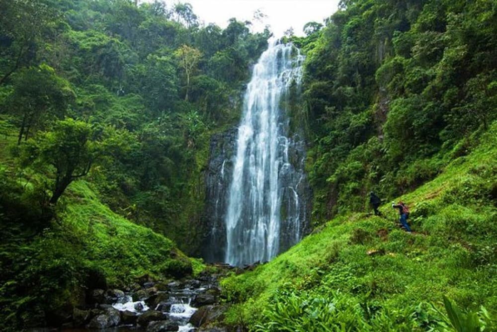 Arusha: Materuni Waterfall &Local Coffee Tour & Hot Spring | ®ExcursionMania - Image 2