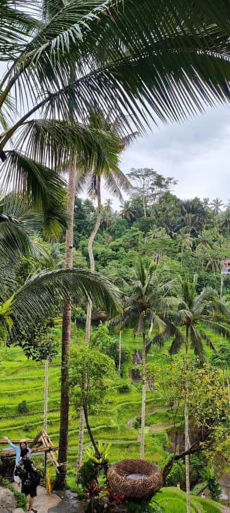 Mount Batur Jeep Tour and Hot Spring | ®ExcursionMania - Image 7
