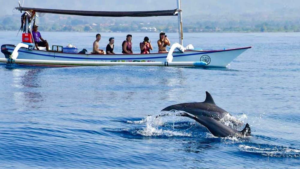 Best Lovina Sunrise Dolphins Watching Tour | ®ExcursionMania - Image 8