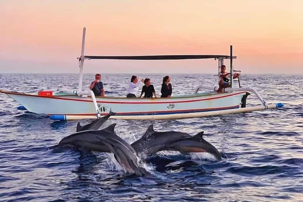 Best Lovina Sunrise Dolphins Watching Tour | ®ExcursionMania - Image 9