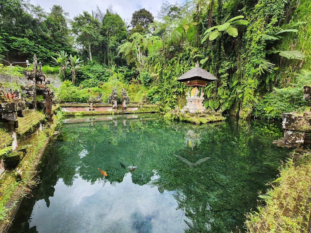 Ancient Temples and Jatiluwih Rice Terrace Private Tour | ®ExcursionMania - Image 3