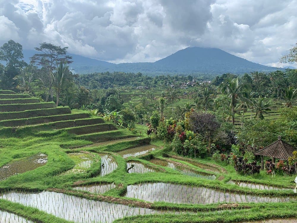 Ancient Temples and Jatiluwih Rice Terrace Private Tour | ®ExcursionMania - Image 5