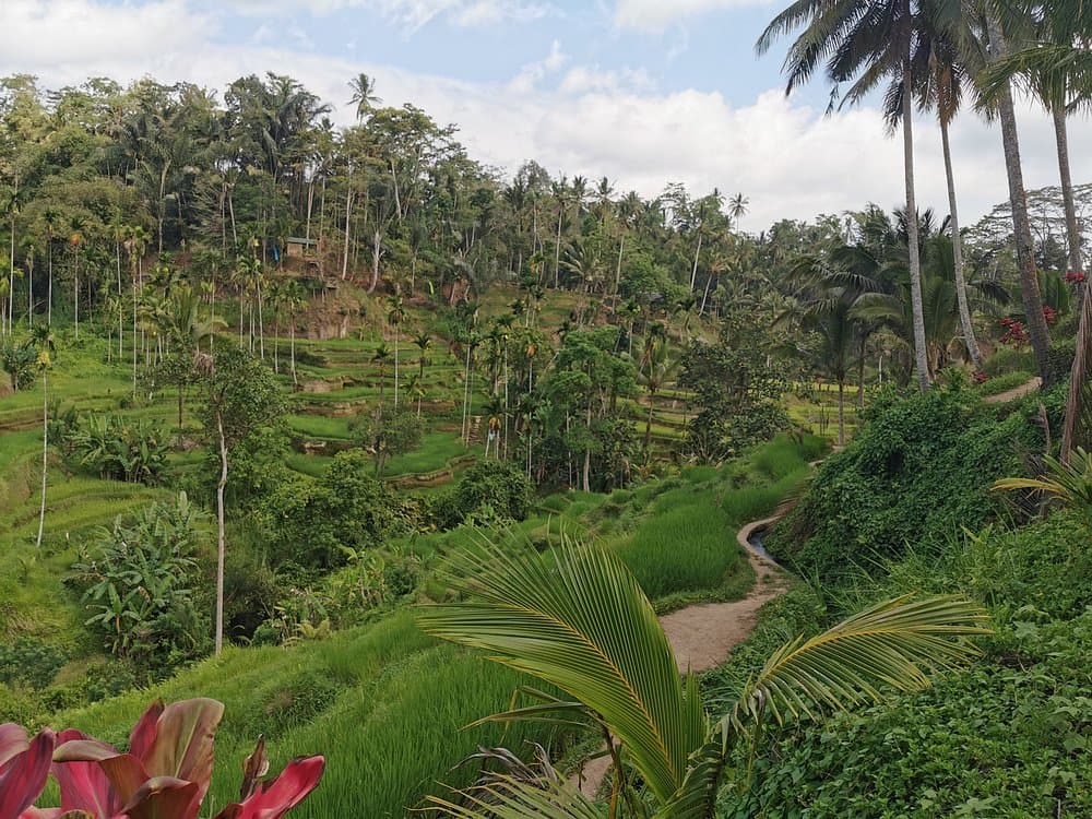 Ancient Temples and Jatiluwih Rice Terrace Private Tour | ®ExcursionMania - Image 9