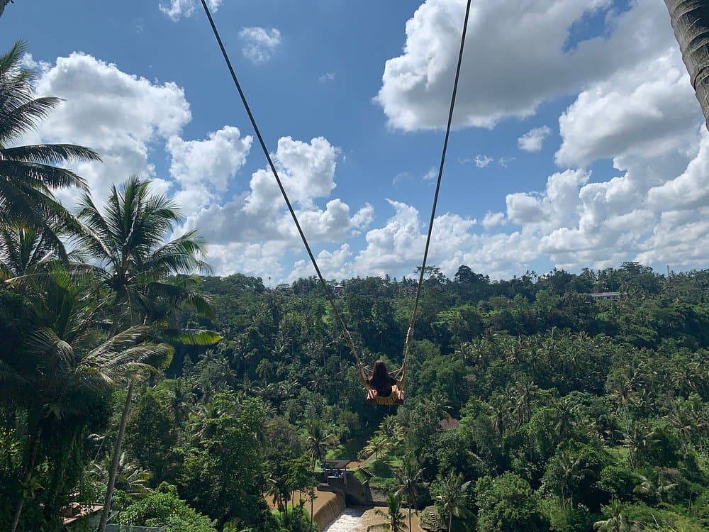 Best of Bali Jungle Swing with Ubud Sightseeing Tour | ®ExcursionMania - Image 2