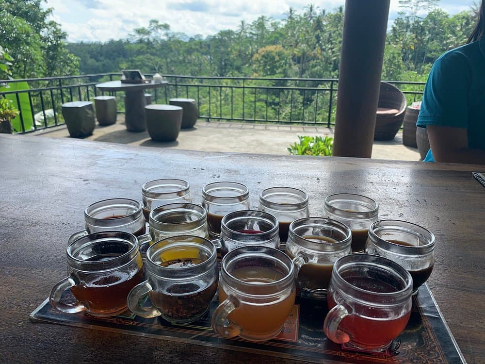 Best of Bali Jungle Swing with Ubud Sightseeing Tour | ®ExcursionMania - Image 5