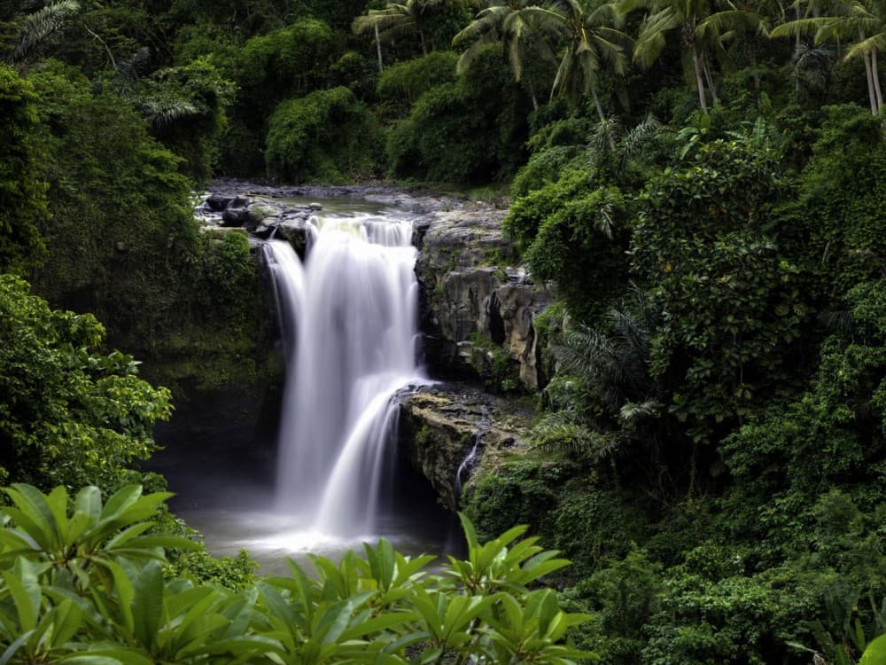Bali Iconic - Waterfall, Swing & Temple Private Tours | ®ExcursionMania - Image 7
