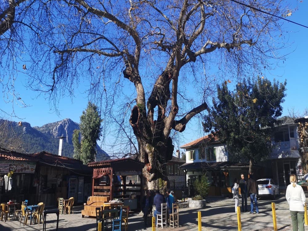 Turunc Village Tour w/ Waterfalls & Jesus Beach: Nature’s Paradise | ®ExcursionMania - Image 7