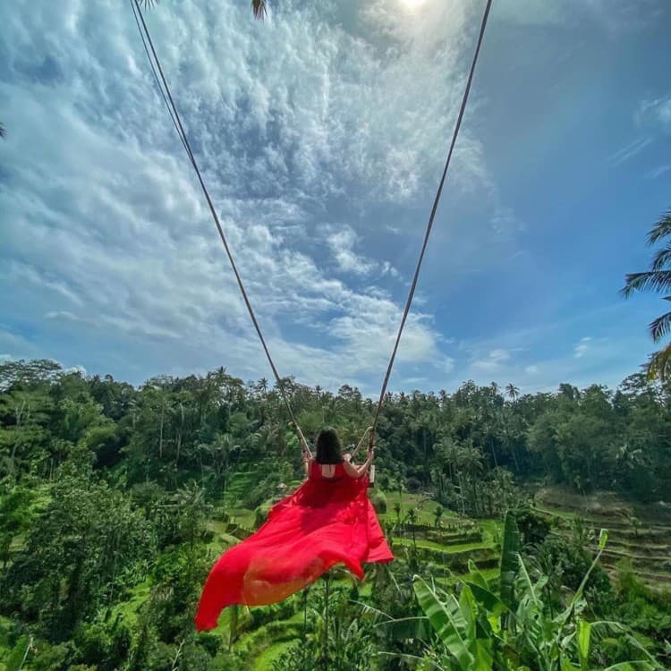 Ubud Half Day Private Instagram Tour | ®ExcursionMania - Image 2
