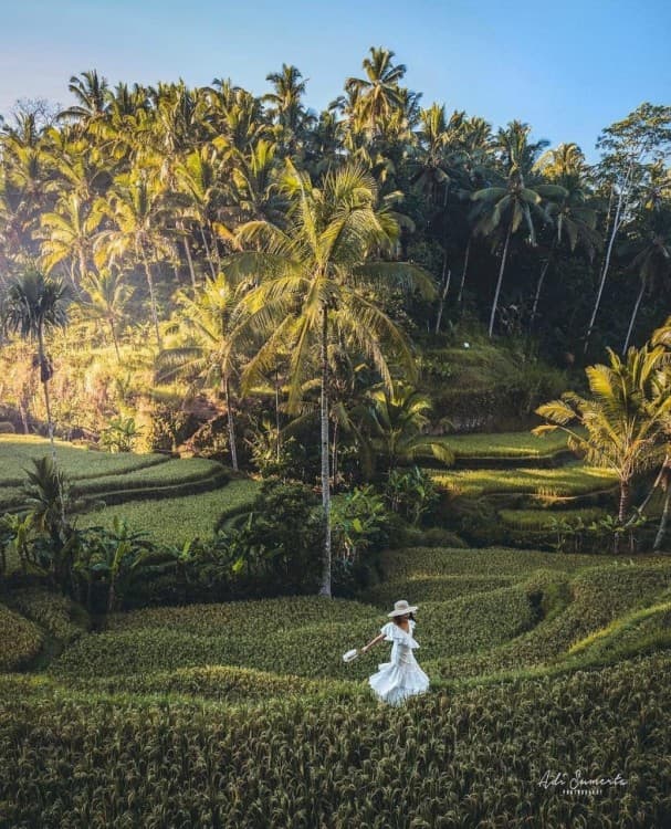 Ubud Half Day Private Instagram Tour | ®ExcursionMania - Image 3