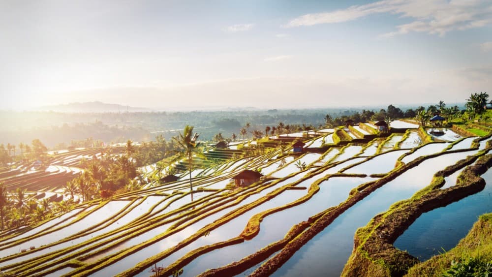 Full-Day Tour to Water Temples and UNESCO Rice Terraces in Bali | ®ExcursionMania - Image 10