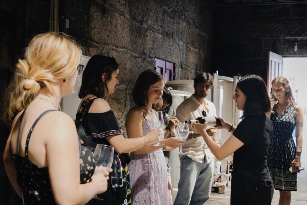 Porto: Douro Valley Wine Tour with a Sommelier & Boat Trip | ®ExcursionMania - Image 5