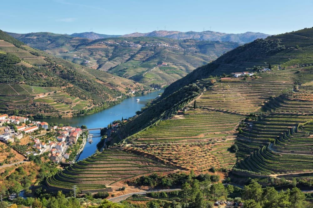 Porto: Douro Valley Wine Tour with a Sommelier & Boat Trip | ®ExcursionMania - Image 7