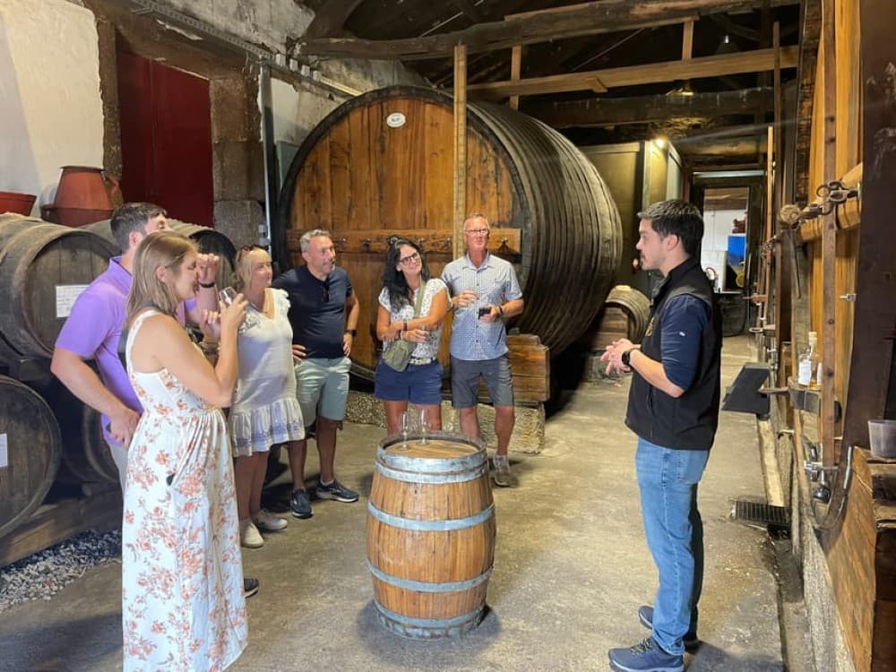 Porto: Douro Valley Wine Tour with a Sommelier & Boat Trip | ®ExcursionMania - Image 10