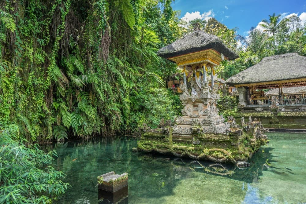 Ubud Top Attractions: Waterfalls, Temples and Rice Terraces | ®ExcursionMania - Image 6