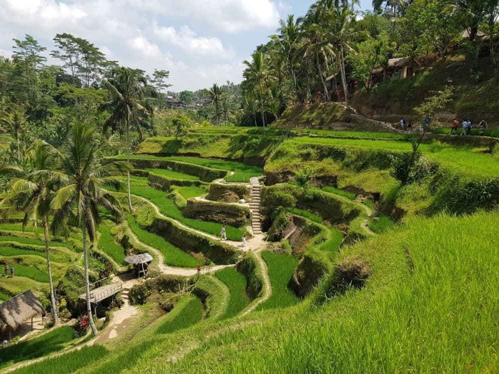 Best of Bali 3-Day Packaged Tour | ®ExcursionMania - Image 3