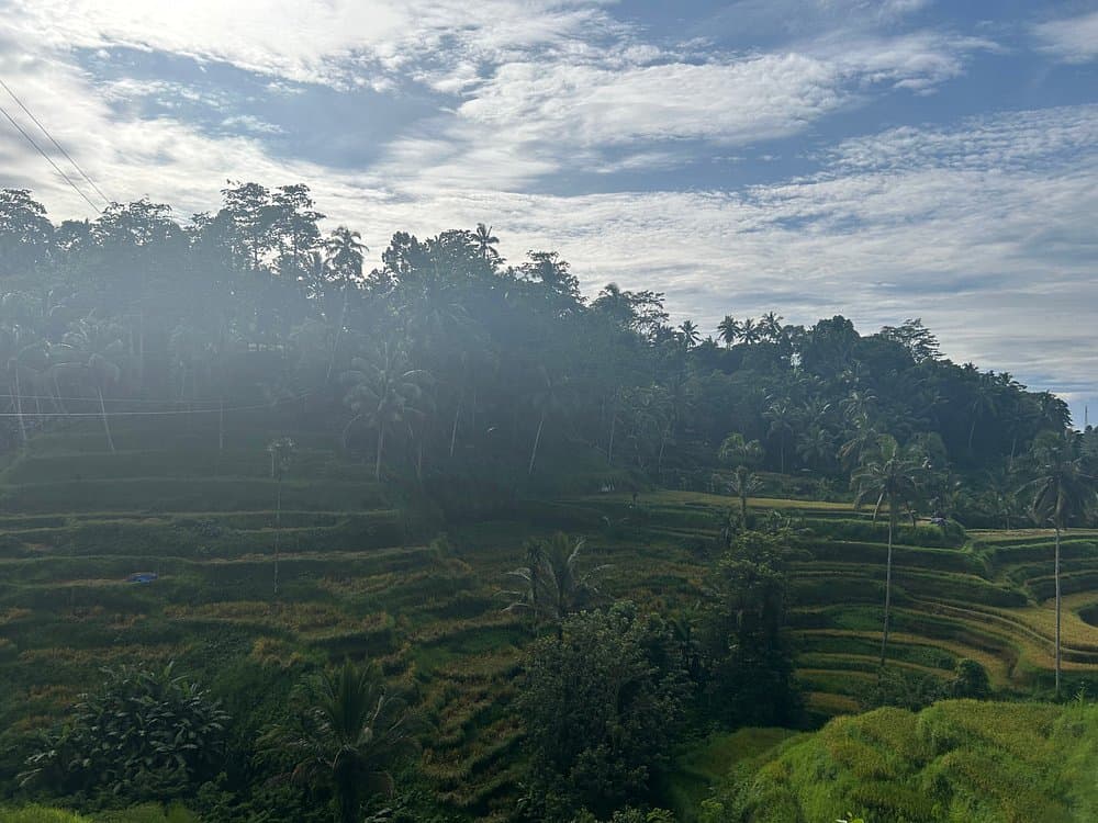 The Gates of Heavan - Ubud Jungle Swing & Waterfall Tour | ®ExcursionMania - Image 5