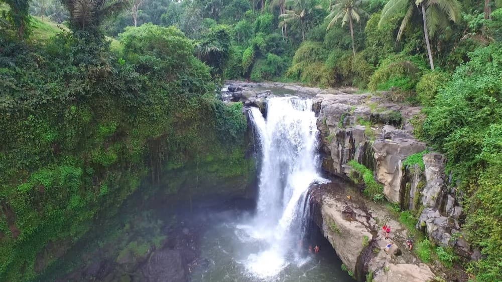 Private Full-Day West Bali Tour with Waterfall Visit | ®ExcursionMania - Image 3