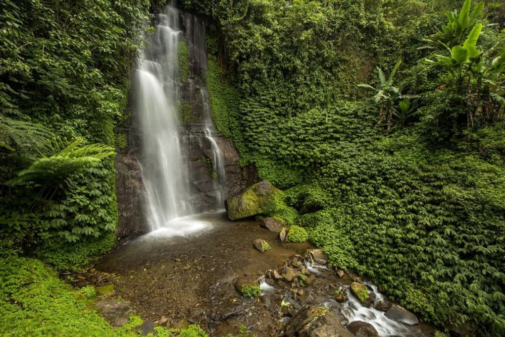 Private Full-Day West Bali Tour with Waterfall Visit | ®ExcursionMania - Image 11