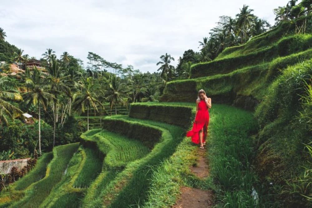 Ubud Customized Full Day Tour - Visit Most favorite In Ubud | ®ExcursionMania - Image 7