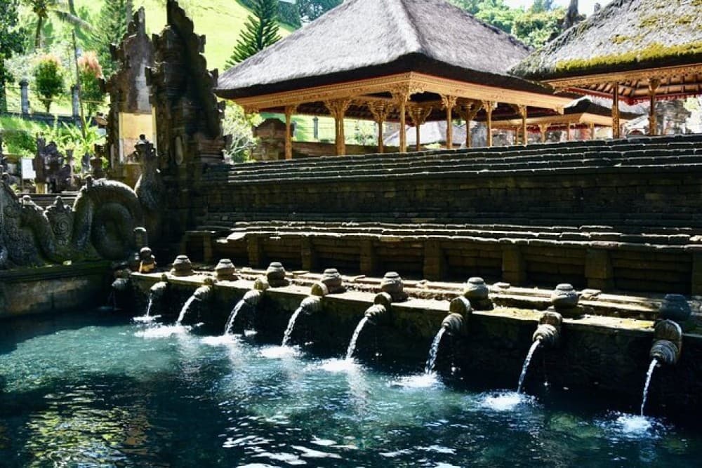Ubud Customized Full Day Tour - Visit Most favorite In Ubud | ®ExcursionMania - Image 8