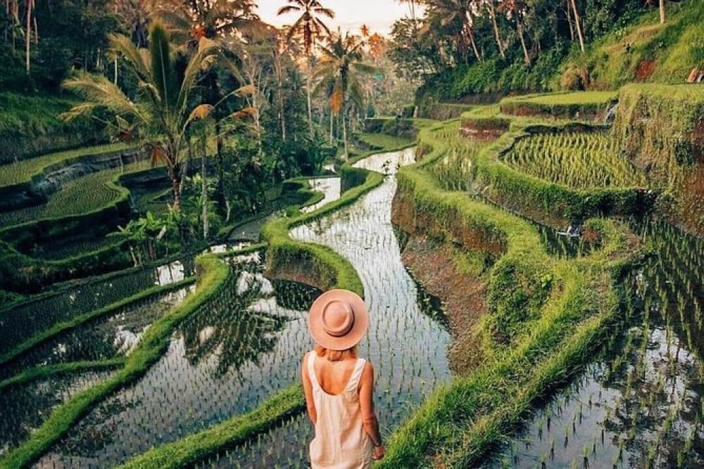 Ubud Customized Full Day Tour - Visit Most favorite In Ubud | ®ExcursionMania - Image 9