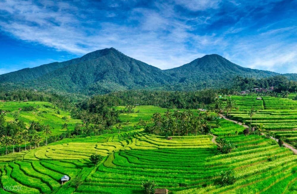 Private Full Day Tour: Best UNESCO Sites in Bali | ®ExcursionMania - Image 2