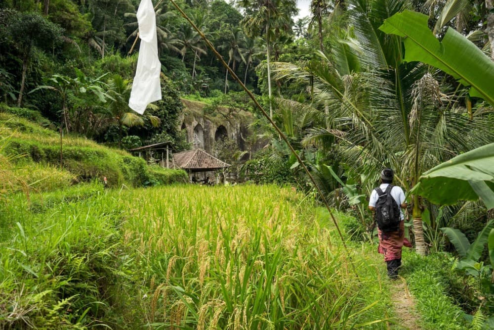 Private Full Day Tour: Best UNESCO Sites in Bali | ®ExcursionMania - Image 5