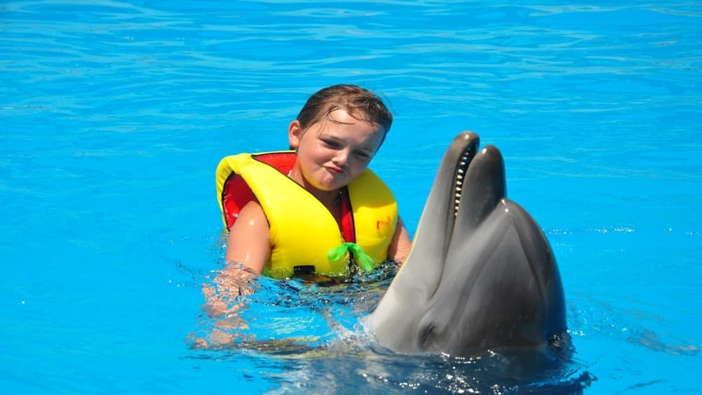 Alanya: Dolphin & Seal Show Ticket with Hotel Transfer | ®ExcursionMania - Image 5