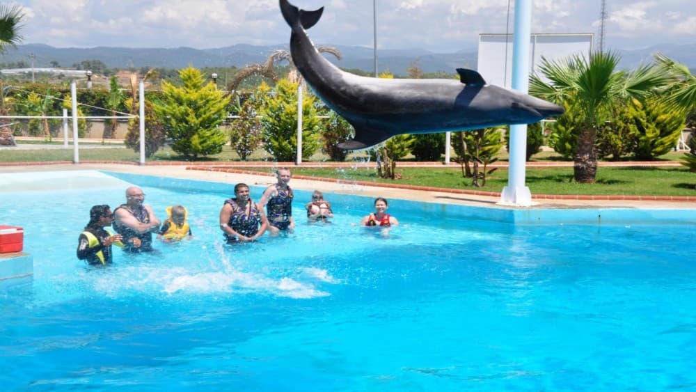 Alanya: Dolphin & Seal Show Ticket with Hotel Transfer | ®ExcursionMania - Image 9
