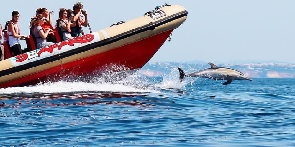 Lagos: Dolphin Watching with Professional Marine Biologists
