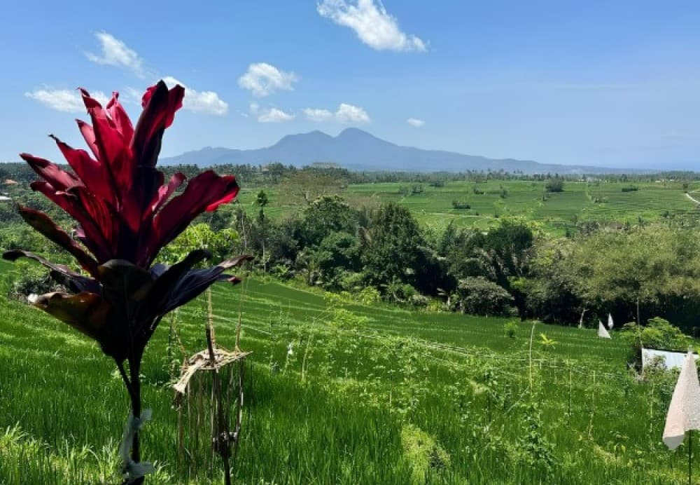 Tenganan Village Rice Field Trekking Tour | ®ExcursionMania - Image 2