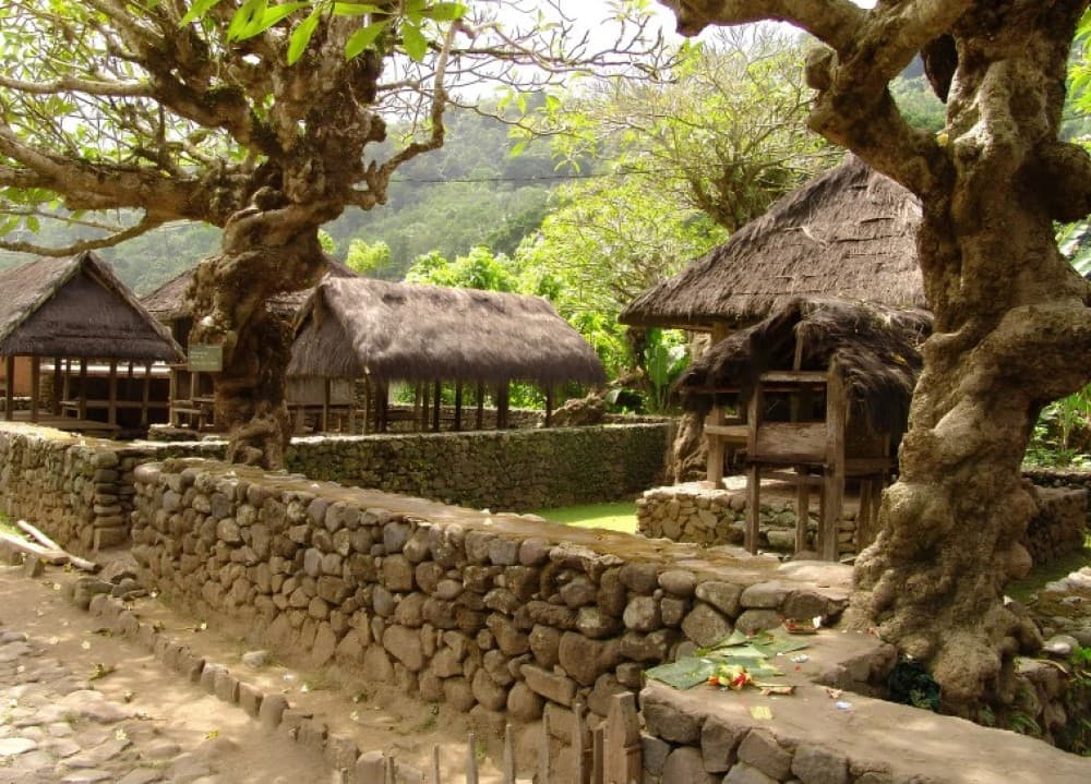 Tenganan Village Rice Field Trekking Tour | ®ExcursionMania - Image 4