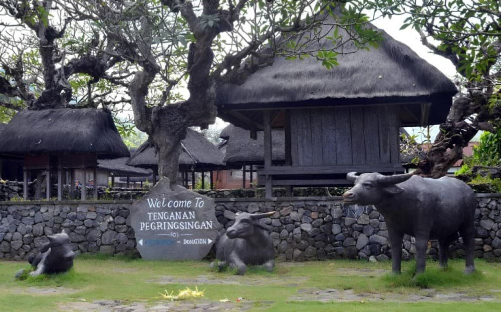 Tenganan Village Rice Field Trekking Tour | ®ExcursionMania - Image 6