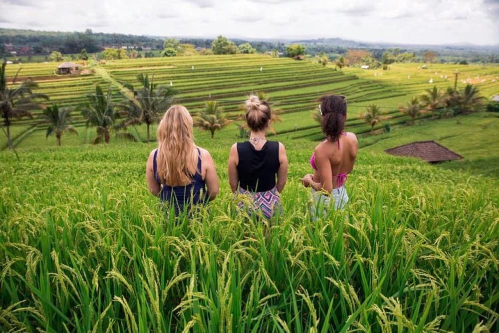 Private Bali Tour: The Most Scenic Places | ®ExcursionMania - Image 10