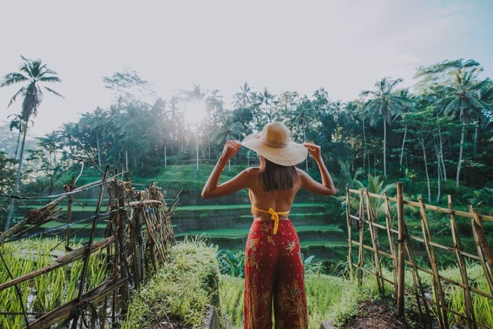 Ubud: Waterfall, Rice Terraces, and Monkey Forest Private Tour | ®ExcursionMania - Image 3