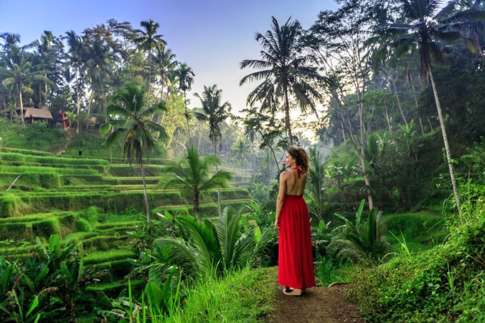 Best of Ubud Attractions: Private All-Inclusive Tour | ®ExcursionMania - Image 3