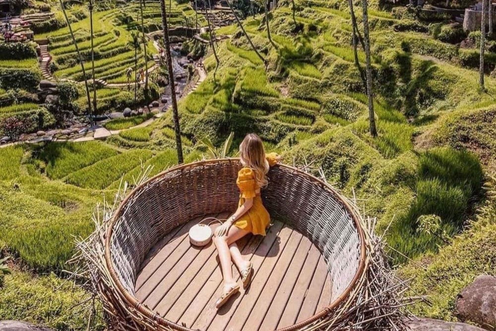 Best of Ubud Attractions: Private All-Inclusive Tour | ®ExcursionMania - Image 4