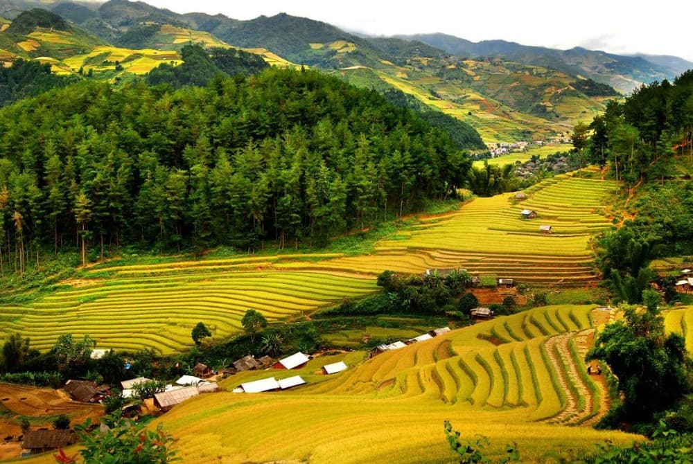 Pu Luong Offbeat Trekking 2 Days 1 Night Tour | ®ExcursionMania - Image 5